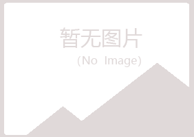 韩城山柏化学有限公司